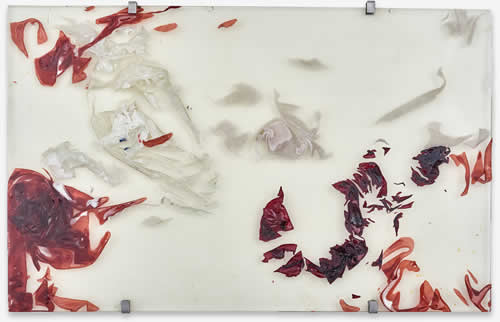 Blushing tide #5 2016